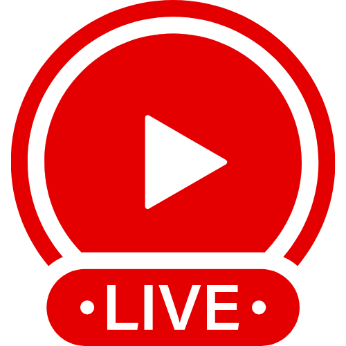 Black Ts Escort | Live Webcam Shows & Interactive Adult Entertainment